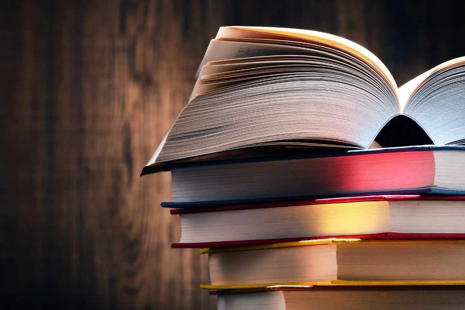 tyt'de hangi dersler var