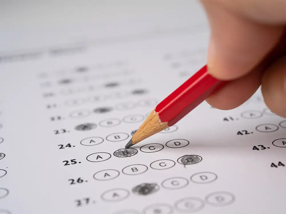 ayt nasıl fullenir 2